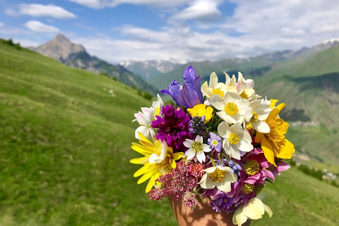 Kazbegi Tour from Tbilisi 2022 - Guides, commentary, and the private format