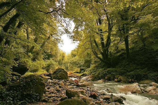 Lagodekhi - A day hiking from Tbilisi - Why this waterfall day trip is worth the long ride