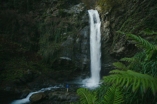 Lagodekhi - A day hiking from Tbilisi - What the $95 price includes