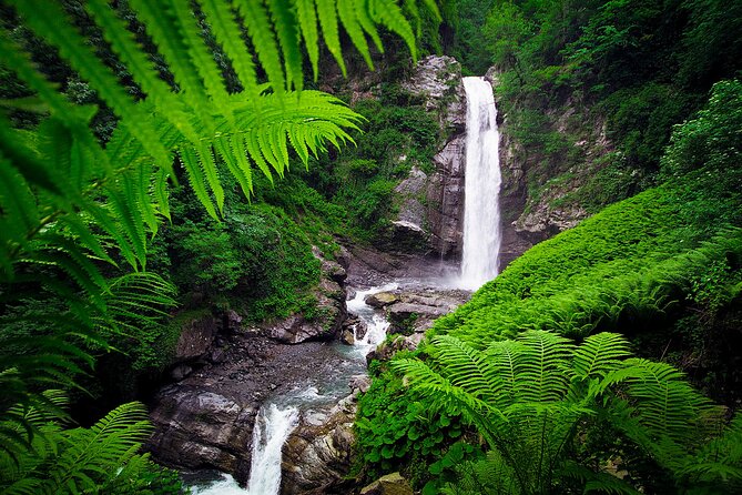 Lagodekhi - A day hiking from Tbilisi - What to pack for the Ninoskhevi trail