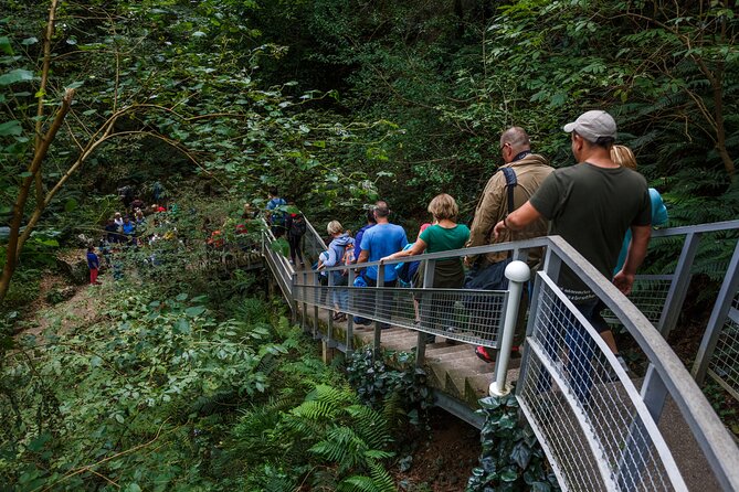 Martvili canyon & Prometheus Cave group tour from Tbilisi - Who will enjoy this tour most