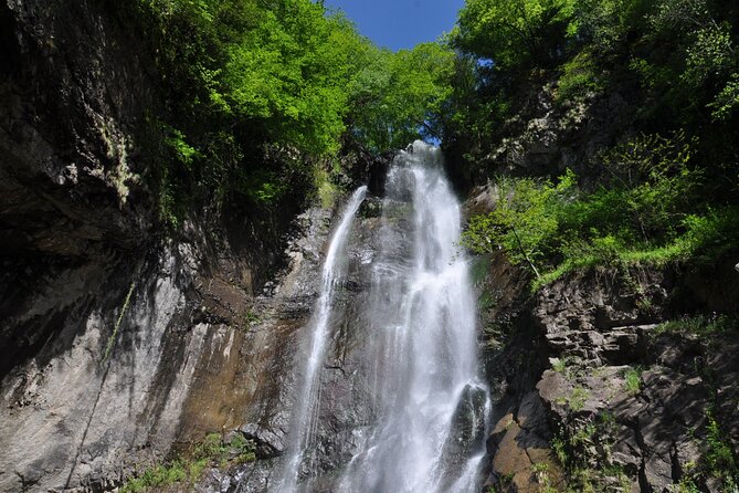 Mountains of Adjara Private Wine Tour from Batumi - Who should book this five-hour Adjara tour