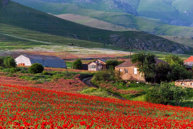 Mtskheta,Jvari,Gori,Uplistikhe(private tour) - Who will get the most from this tour