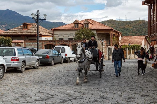 Mtskheta - Jvari Private Tour + Chronicles of Georgia - Who should book this private tour?