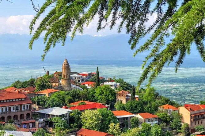 One Day Kakheti Tour with Wine Tasting and Free Churchkhela - Why this Kakheti day trip works
