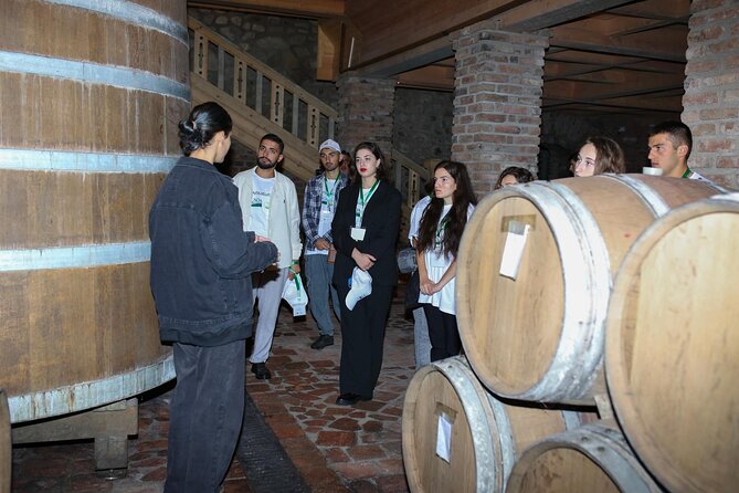 One Day Kakheti Tour with Wine Tasting and Free Churchkhela - What the schedule feels like in practice