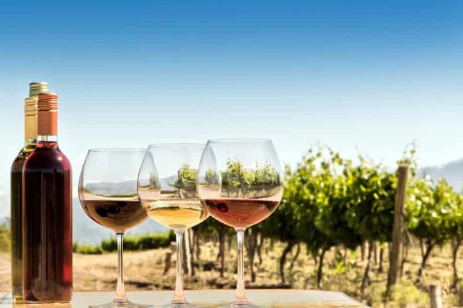 Private Day Trip to Kakheti Wine Region Including Wine Tasting - How the private guide service affects the day