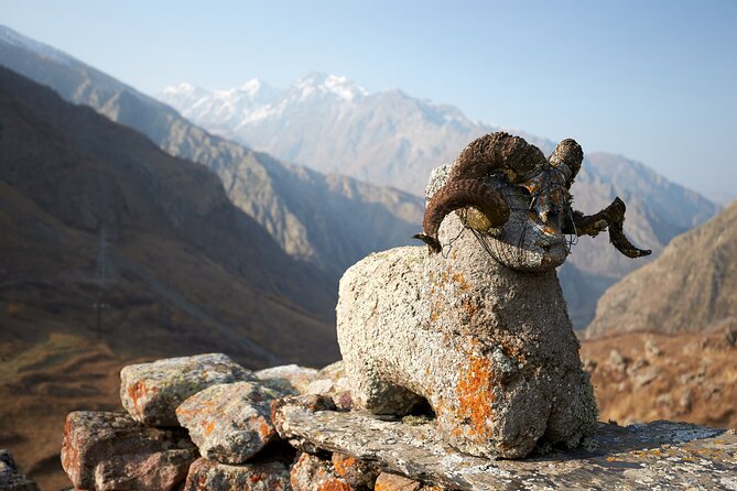 Private day trip to the Caucasus mountains and the Russian border - Guide quality and what it adds