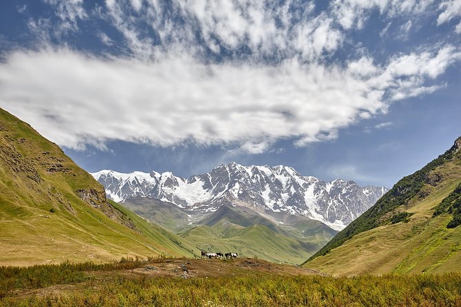 Private five days tour to Svaneti-Mestia, Ushguli, Becho,Chalaadi - Day 4: Hiking near Mount Ushba in the Becho area