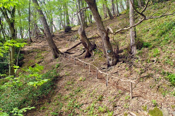 Private Hiking Tour to Machakhela National Park from Batumi - Who will enjoy this outing most