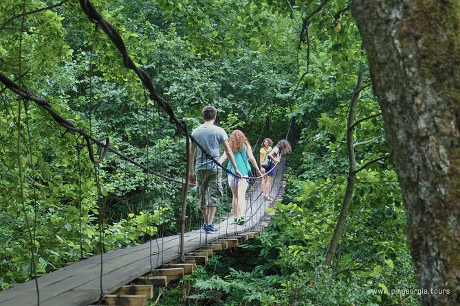 Private Hiking Tour to Mtirala National Park from Batumi - Optional zipline and ATV activities