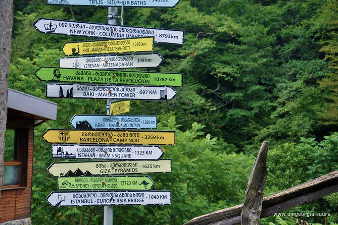 Private Hiking Tour to Mtirala National Park from Batumi - Timing, fitness, and what to pack