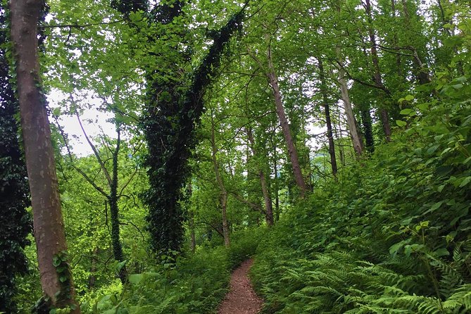Private Hiking Tour to Mtirala National Park from Batumi - Leaving your hotel in a private vehicle