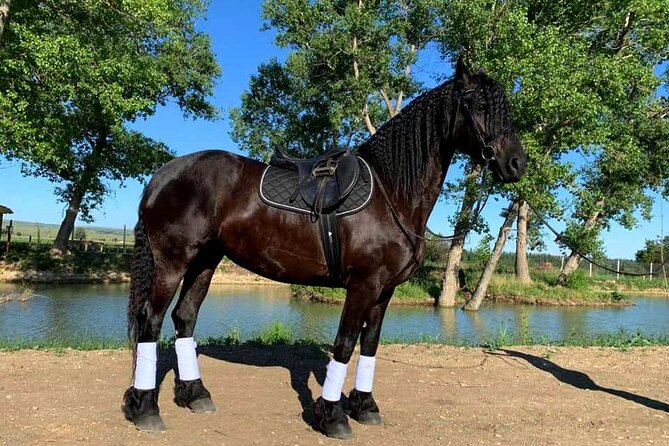 Private Horse Ridding tour - A straightforward riding outing near Tbilisi