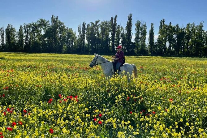 Private Horse Ridding tour - Who will enjoy this horse ride most?