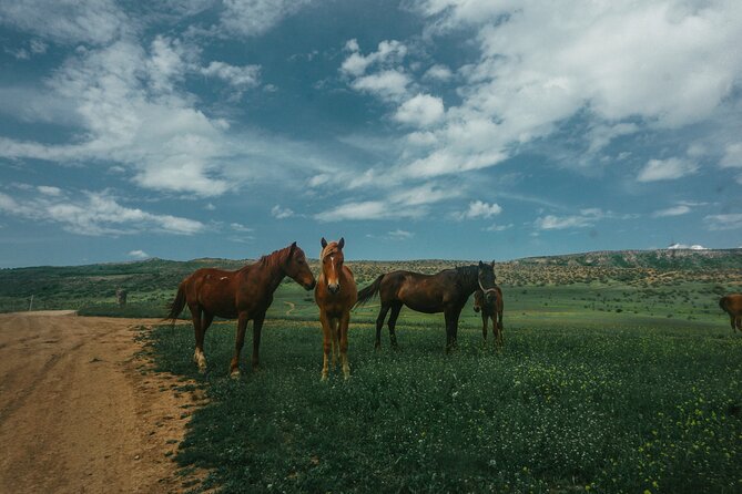 Private Horse Riding Adventure in Tbilisi - Weather, clothing, and comfort