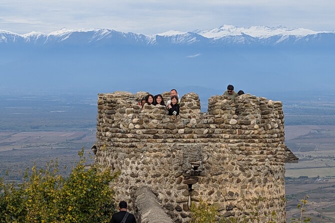 Private Kakheti Tour organic Wine Tasting with Lunch - What the private vehicle adds