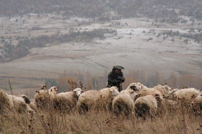 Private Tour to Kazbegi from Tbilisi - Key points before you book