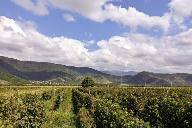 RACHA region with TSKHRAJVARI and wine tasting from Kutaisi - Weather, cancellation, and useful planning details