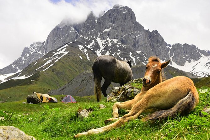 Round Trip Bus Transfer to Juta from Kazbegi - Exploring Juta on your own