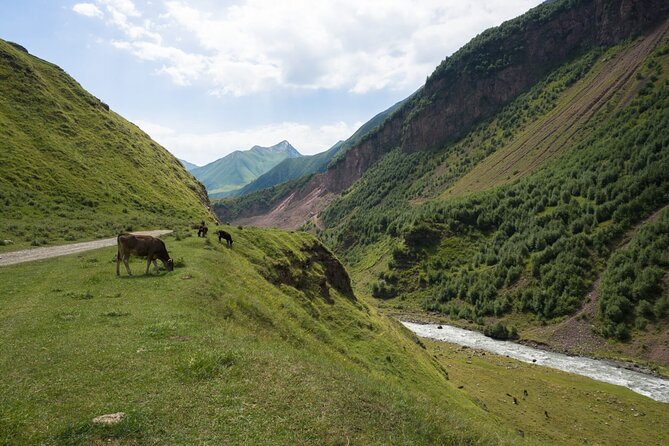Round-Trip Bus Transfer to Truso Valley from Kazbegi - Walking through Kasari Canyon