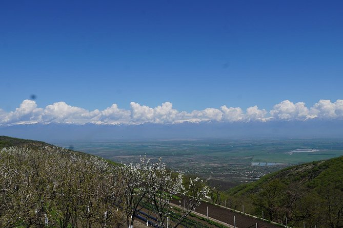 Secrets of Kakheti: Wine & Home-Cooked Lunch - Badiauri puts you to work with shoti bread