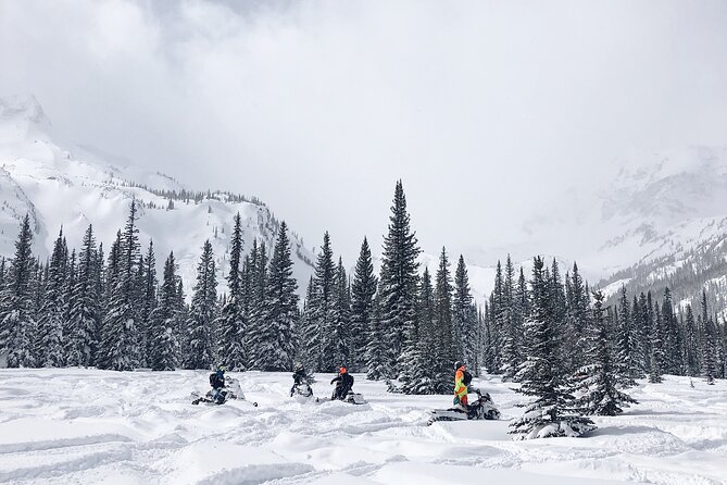 Ski & Snow Tour to Bakuriani from Kutaisi with Borjomi Stop - Why this Kutaisi day trip works
