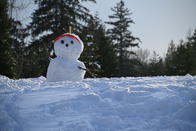 Ski & Snow Tour to Bakuriani from Kutaisi with Borjomi Stop - Who will enjoy this trip most