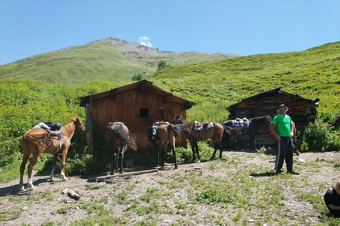 Svaneti Mountain Villages 4x4 Safari, tour from Kutaisi - Optional costs and what the $136.84 covers