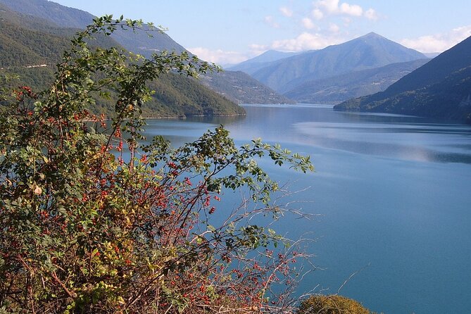 Tbilisi to Kazbegi, Gudauri, and Ananuri Day Tour - Guides, language, and the human factor