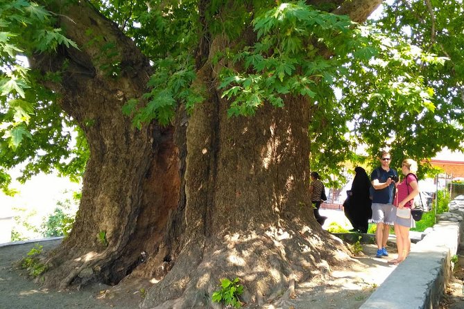 Tour to Kakheti. Sighnaghi –Bodbe Monastery –Tsinandali –Telavi –Winery –Gombori - Telavi and the road through Kakheti