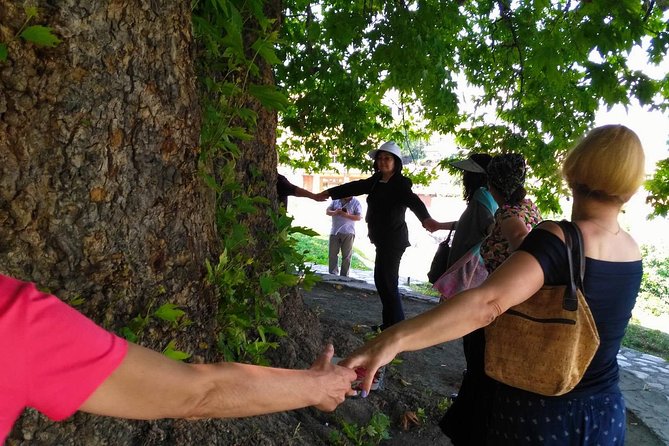 Tour to Kakheti. Sighnaghi –Bodbe Monastery –Tsinandali –Telavi –Winery –Gombori - Transport, group size, and the pace of the day