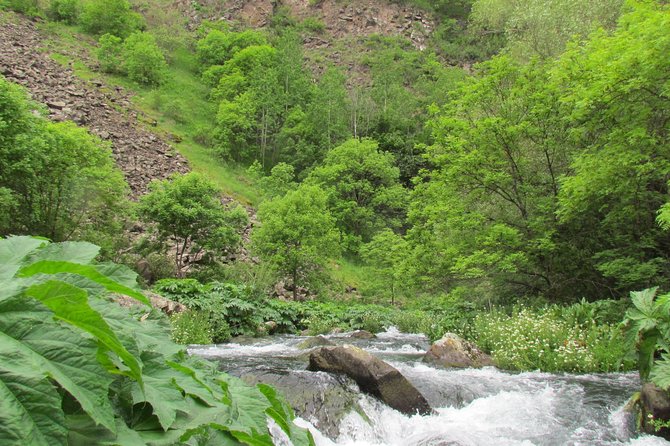 Trip to The Diamond Bridge and Dashbashi Canyon - Who should book this Tbilisi day trip?
