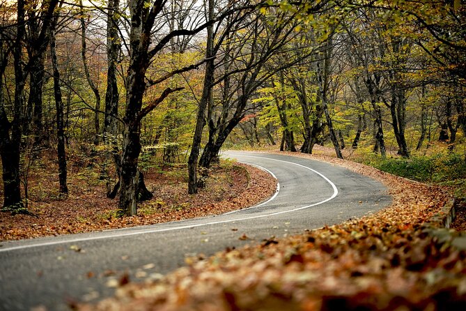 Whole day Wine Tour to Kakheti from Tbilisi - What the $30 price really includes