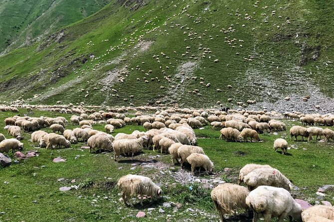 Wild Georgia 4WD PACK Adventure through Kakheti and Kazbegi 2in1 - Truso Valley and Abano Lake by 4WD