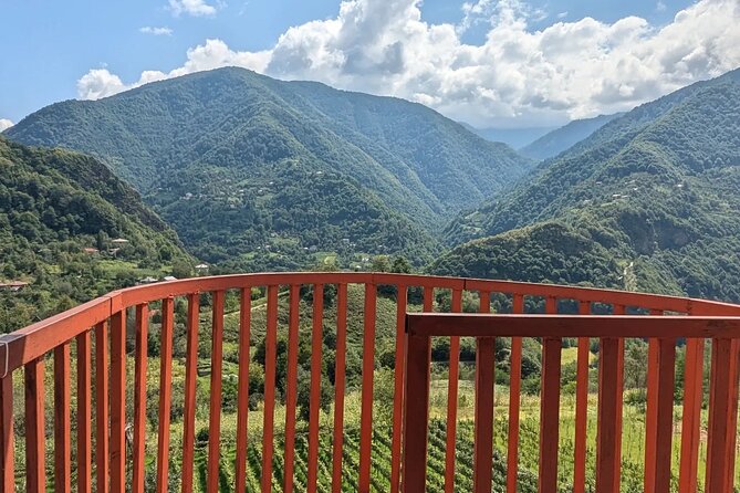 Wine and Dine Tour To Batumi Waterfalls - Mountainous Adjara - The Shervashidze cellar and an Adjara-style table